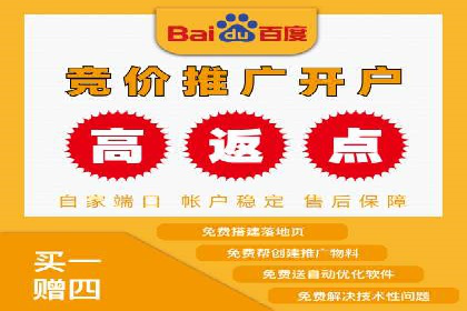 SEM托管服务成功案例：让广告投放更精准、更高效